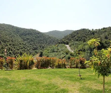 Rosa Calonge (Catalonia)