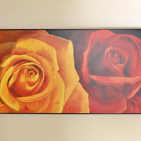 Rosa